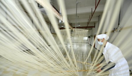 手工掛面自動(dòng)化生產(chǎn)線是如何還原仿生工藝的？