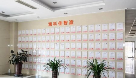 青島?？萍沿褡逶紕?chuàng)新 走出國(guó)門(mén)完成增效